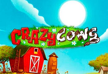 Crazy Cows